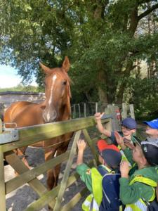 356975343 2515433491970404 7677046532725132948 n