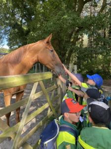 358931213 823487505792925 1099800622053750611 n