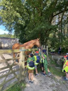 359553604 836704754704395 1097678714742438369 n