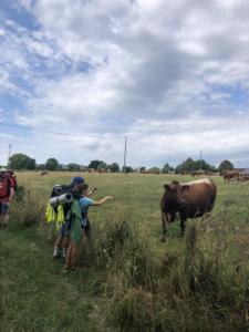 362954608 227083656961033 8789639673658083842 n