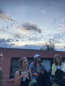 363064288 956749885602589 5458350480335661370 n