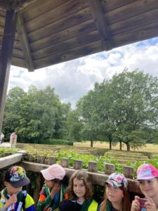 363068648 321412650220403 3654493750389854735 n