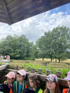 363281595 3481195188834477 8652044758463691459 n