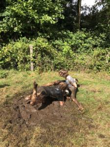 363298788 6145686322223872 2914575890186483738 n