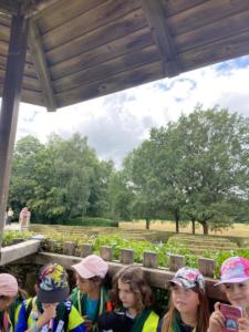 363298788 670907807793590 6463663155320946893 n