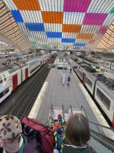 363311988 6814076835309065 6464692976218249041 n