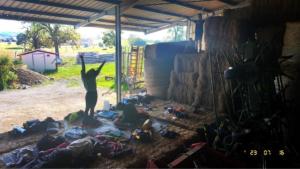 364633538 239709738964405 5869544983159987606 n