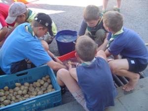 Camp Tohogne 06 Alb 11  43 