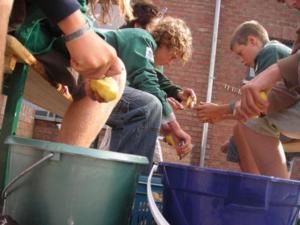 cpvergnies07alb3
